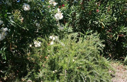 Apartments Neda - Photo 6