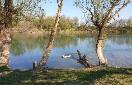 Guest house Studio apartman Marina - free parking, pet friendly - Foto 43