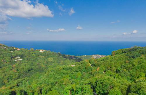 Rustic Rose - Private Premium house - Foto 45