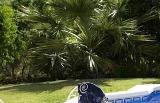 Las Mayoralas - Photo 32