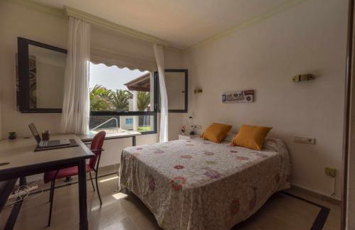 Morning Star - Foto 13