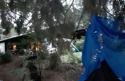 Bungalow direkt am See, mit eigenem Boot - Foto 61