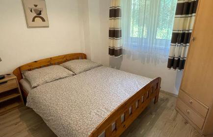 Dwupoziomowe Apartamenty Leszczyna - Photo 13