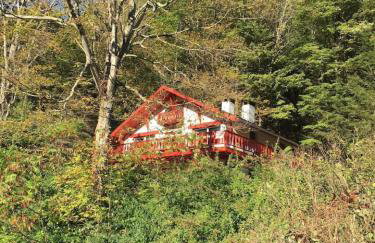 Catskill Cabin Duplex Apartment - Foto 3