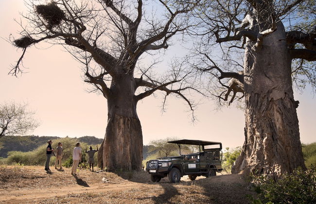 Baobab Hill House - Photo 11