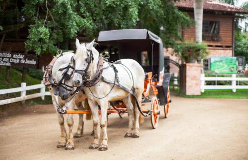 Fazzenda Park Resort - Foto 35