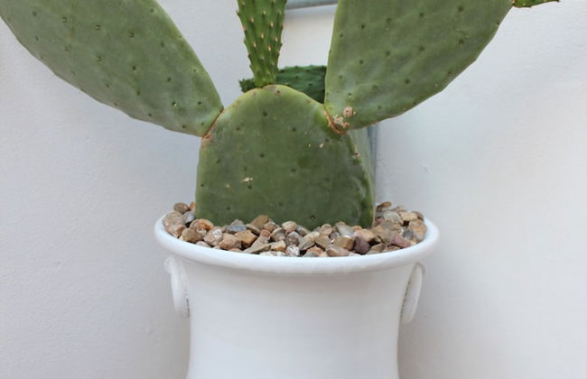 Terracielo Guest House - Foto 77