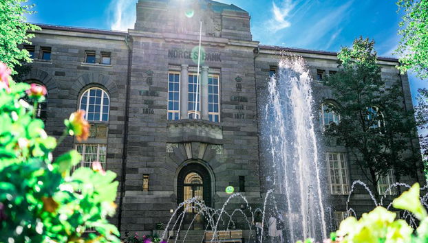 Visite privée à pied de la ville d'Oslo - Photo 2