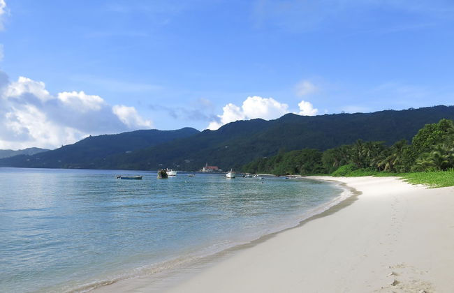 La Villa Therese - Foto 75