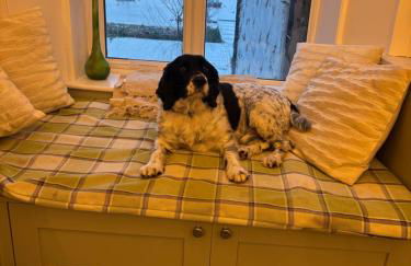 Compton House 1 - Foto 27