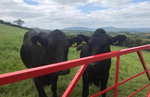 Mc Courts Cottage & Barn - Foto 2