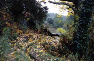 Casas Rurales Prunus Avium - Photo 84