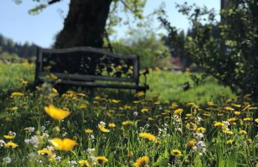 Ferienwohnungen Britta Heim - Photo 10