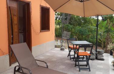 Abelha & Peixe Boi - Photo 23