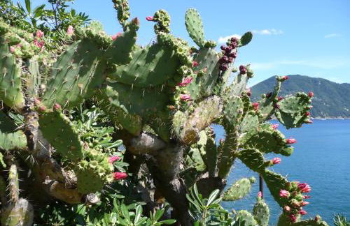 Villa CieloMare - Foto 47