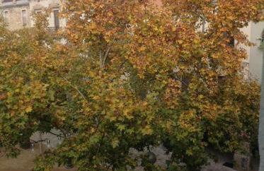 PLAÇA MAJOR 17 2n 1a - Foto 22