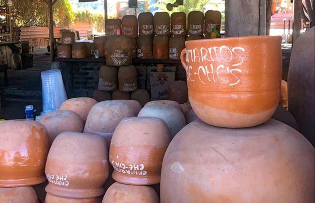 Guachimontones + Tequila Day Trip - Photo 8