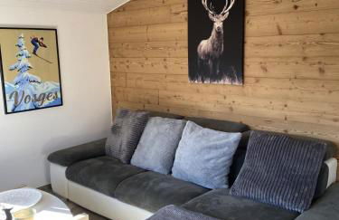 Chalet Le Clefcy - Vosges - Spa - Proche Gérardmer - Foto 10