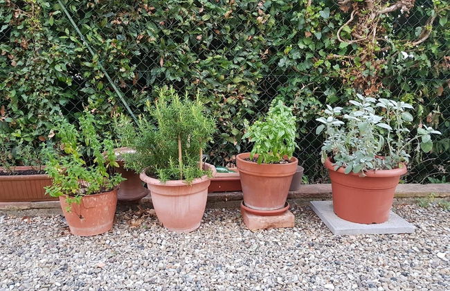 Agriturismo Podere Casalone - Foto 37