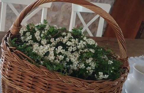 Stone House Rosuja - Foto 46