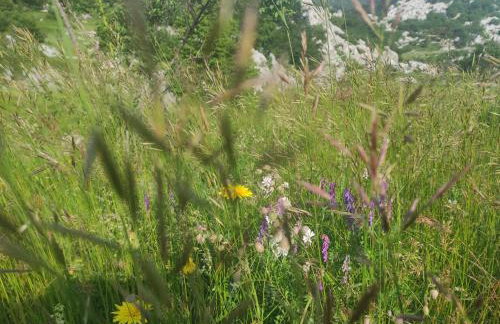 Lika Relax and Party House with sauna, jacuzzi and outdoor heated swimming pool - Foto 33