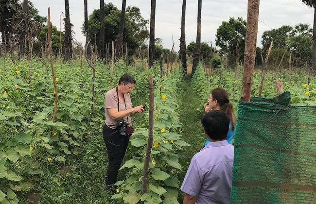 Madam Sokha Homesteading - Foto 67