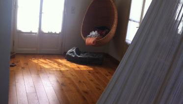 Xenon Estate - Photo 5