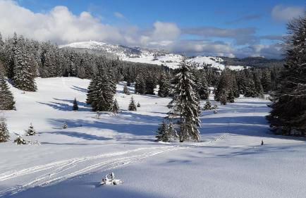 CHALET LES EPILOBES - Foto 11