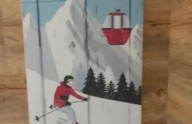 La forêt des Marmottes - Photo 38