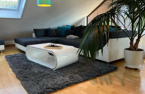 Black Forest Brandenkopfblick - Foto 15