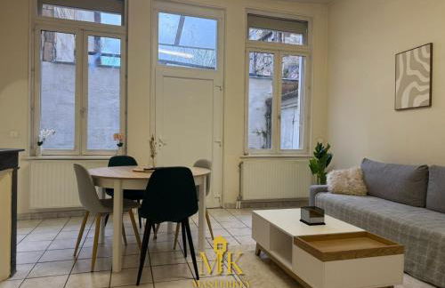 T2 Chic & Lumineux Bar-le-Duc Centre-Ville - Foto 13