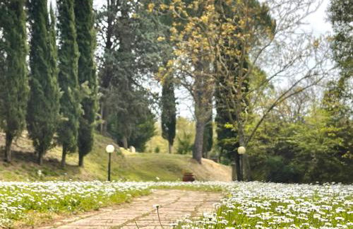 Agriturismo, Casa Borgo - Foto 44