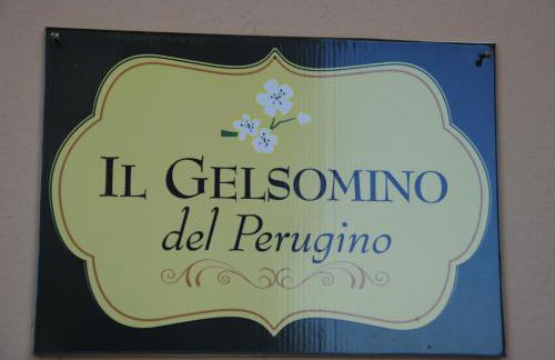 Il gelsomino del Perugino - Photo 58