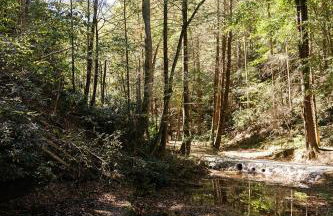 Modern Mirror Home w/ Hot-tub - “Glass House” #1 - Foto 38