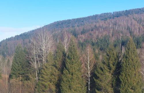 Chata pod Jelenim Skokiem - Foto 6