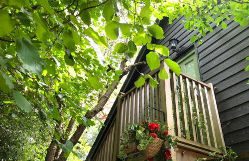 The Nest Danehill - Foto 51