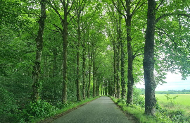 6 Person Holiday Home in Oster Assels - Foto 5