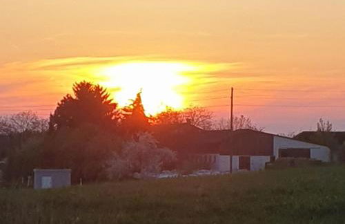 Ferienwohnungen Karle - Foto 5