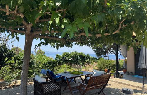 Villieta Marina - Foto 7