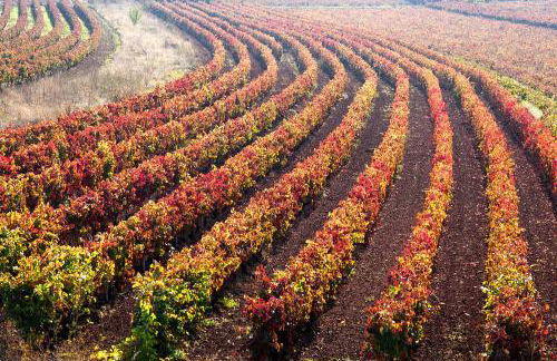 RIOJA VALLEY Apartamentos en el corazón de La Rioja - Foto 31