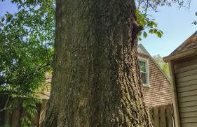 New listing! ON 62-acre Broad Ripple park/ less than a mile from Broad Ripple village. - Foto 30