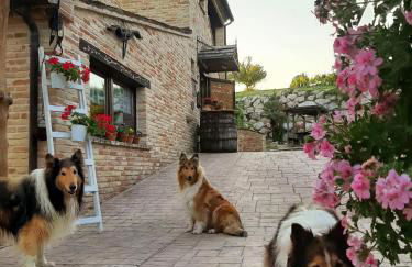 Il Casale dell'Acquabona - Foto 1