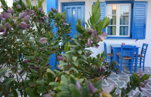 Helen's Minimal Studios & Apartments - Photo 51