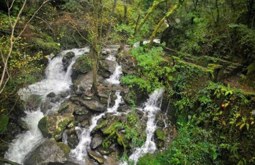 Adiva Praia Miño - Foto 39