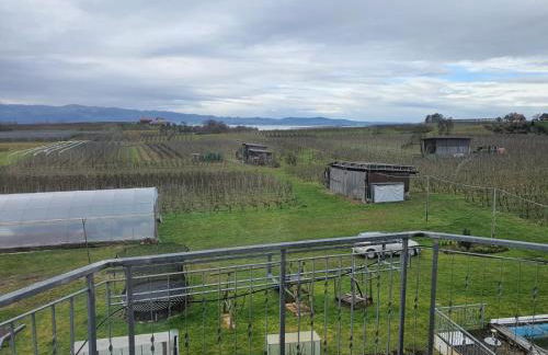 Obst- und Ferienhof Schäfler - Foto 14