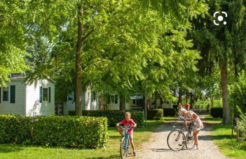 Location grand MH proche europa park 4 personnes - Foto 28