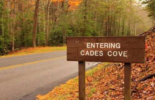 The Owl's Perch - Foto 38