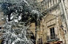 Mon rêve de la Loire - Foto 18