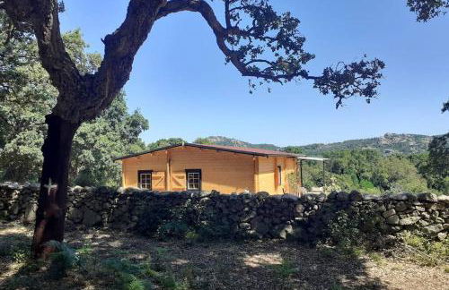 Eco Lodge nella natura Con Piscina privata "La Grande Quercia" - Foto 64