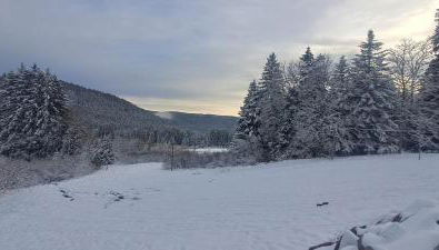 LE CHALET VOSGIEN bain nordique Kota Grill - Foto 5